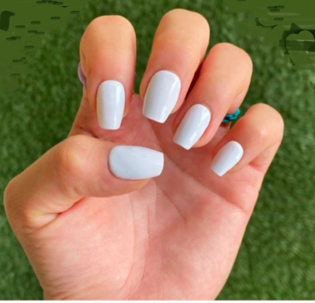 Arctic Glam